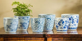 Photo of Campania Cylindar Planter - Blue and White Mix - Set of 6 - Marquis Gardens